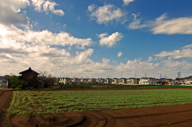 田園